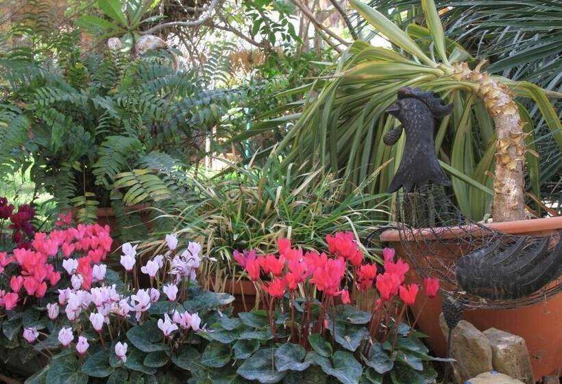 Hotel Idan Lodge In The Arava