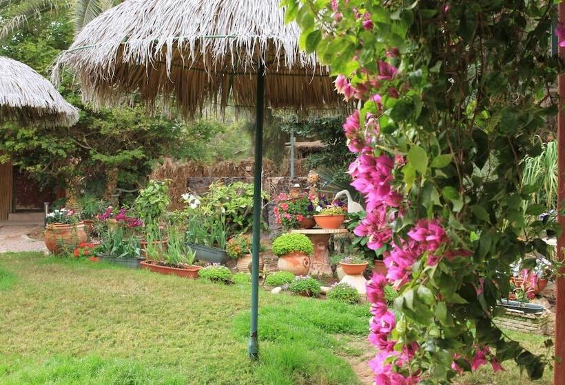 Hotel Idan Lodge In The Arava