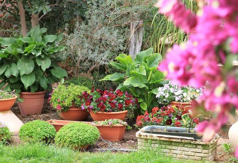 Hotel Idan Lodge In The Arava