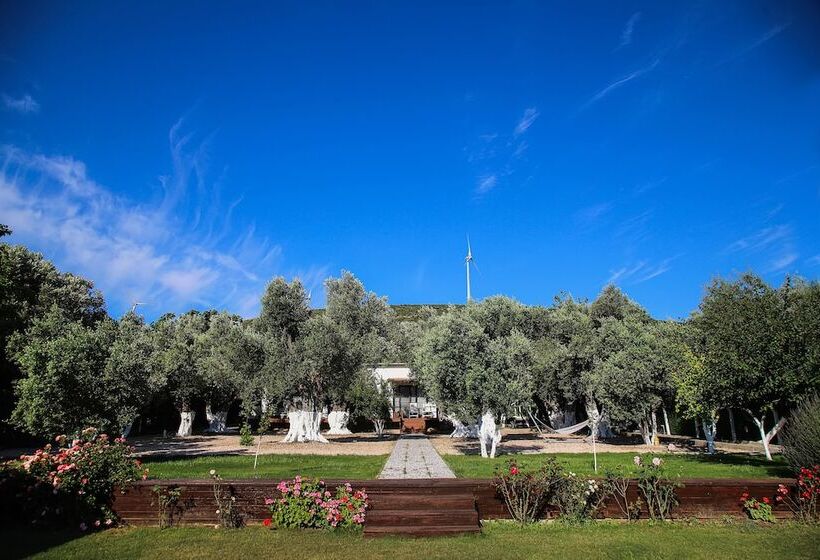 Suess Alaçatı Otel