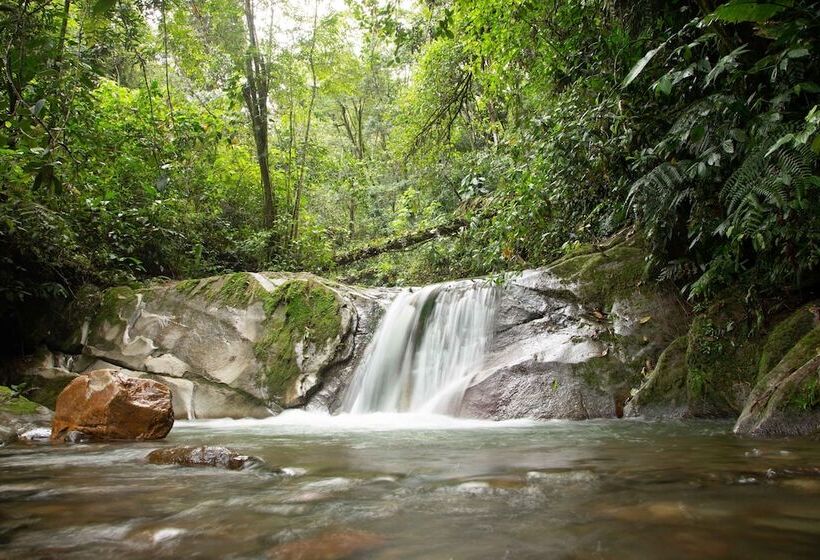 Отель Loma Nevada Minca