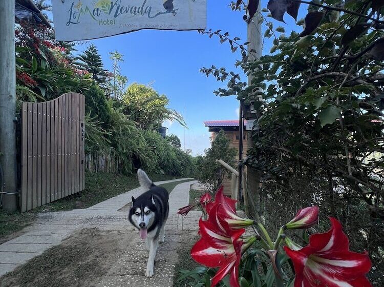 Отель Loma Nevada Minca