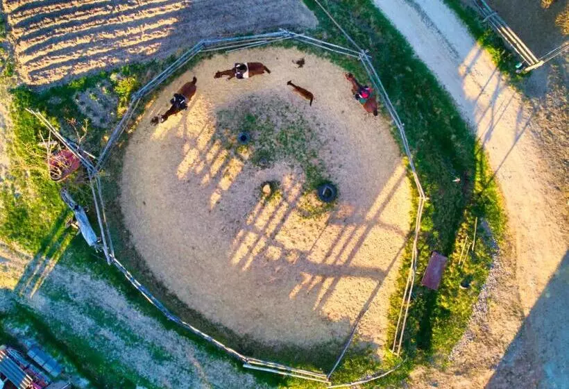 ホテル Gospodarstwo Agroturystyczne Paryja