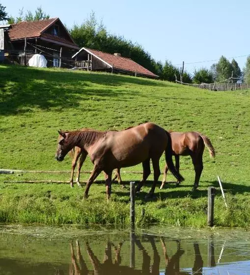 ホテル Gospodarstwo Agroturystyczne Paryja