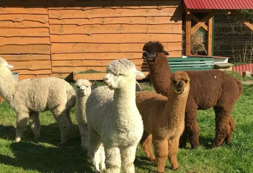ホテル Hacjenda Alpaka Mini Zoo