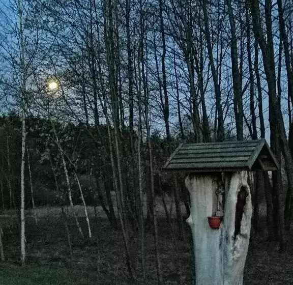 ホテル Leśny Dwór Uhowo