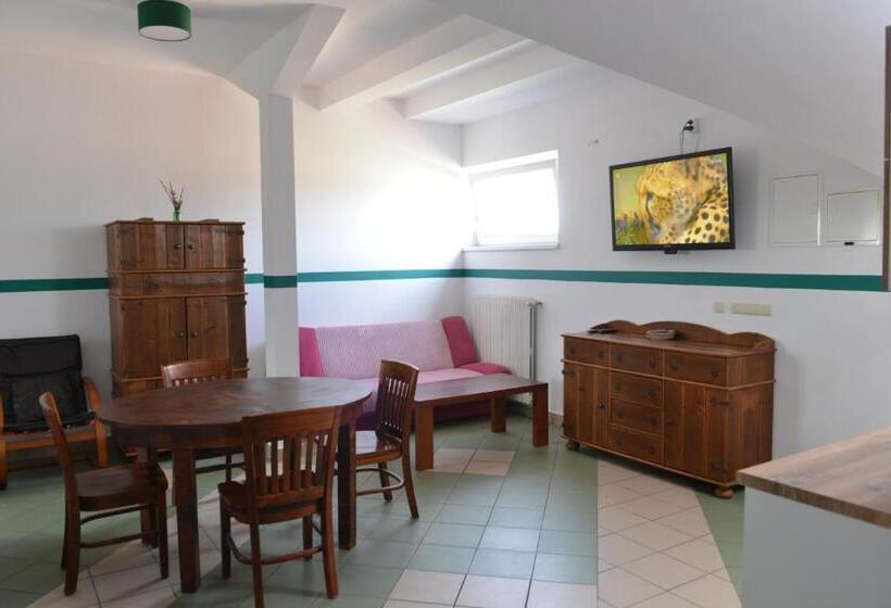 Отель Pokoje Gościnne U Klimosza