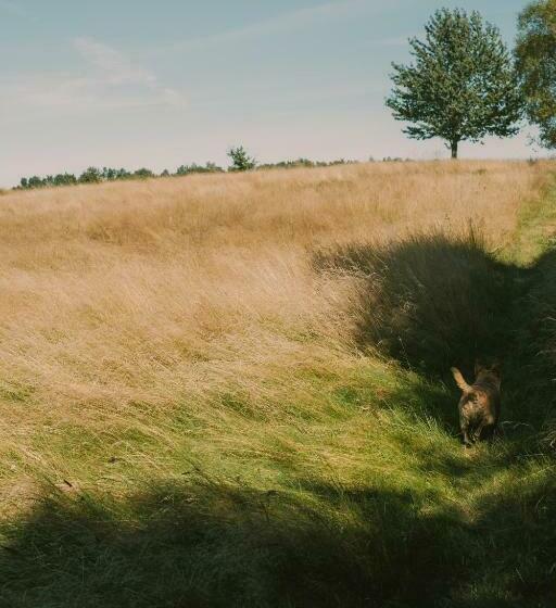 فندق Przystawy Agroturystyka