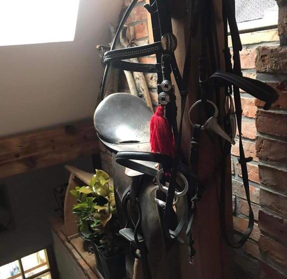 בית מלון כפרי Sielski Zakątek Tokary