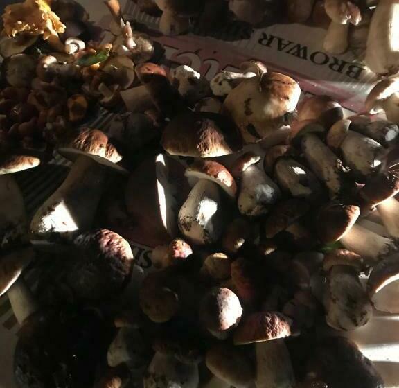 호텔 Zezuj Agroturystyka I łowisko