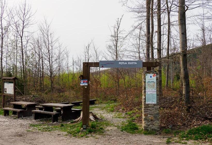 بنسيون Płonica 1