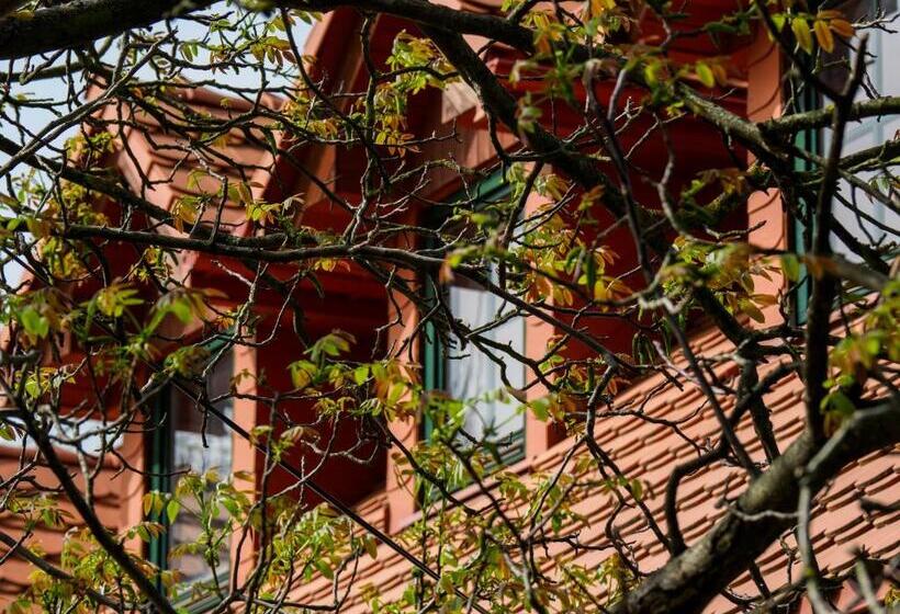 بنسيون Płonica 1