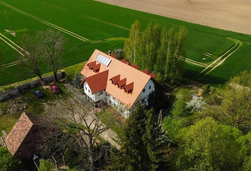 بنسيون Płonica 1