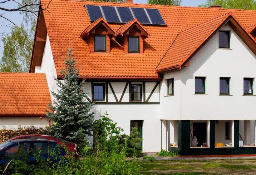 بنسيون Płonica 1