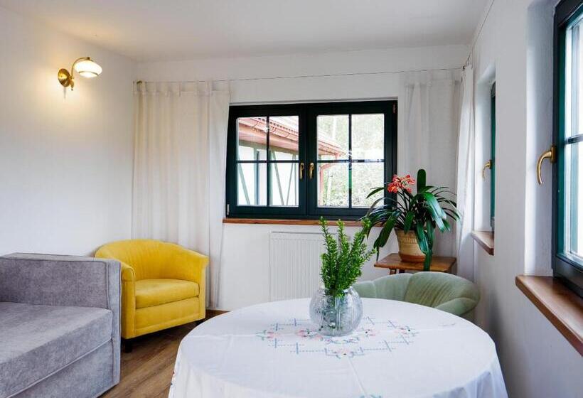 بنسيون Płonica 1