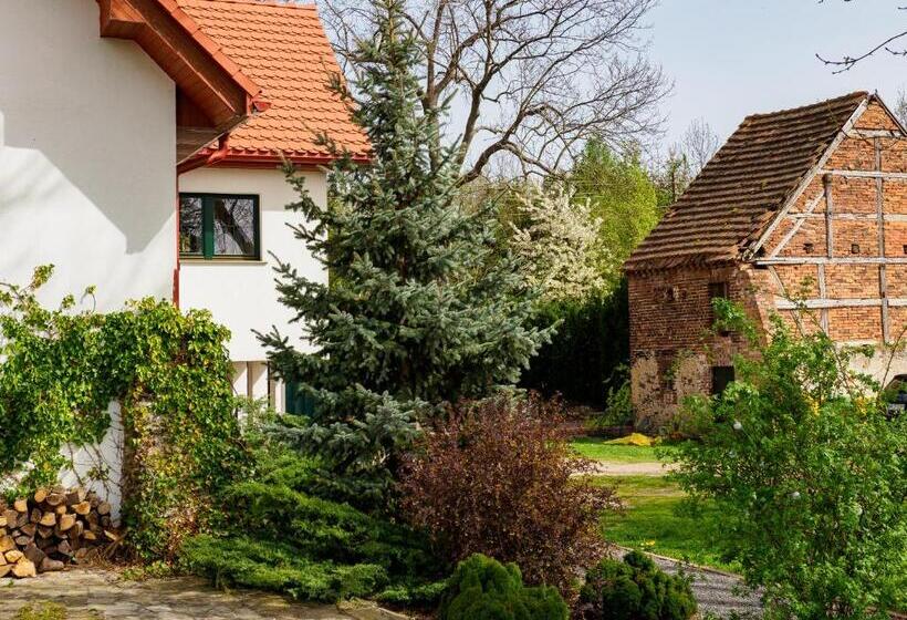 بنسيون Płonica 1