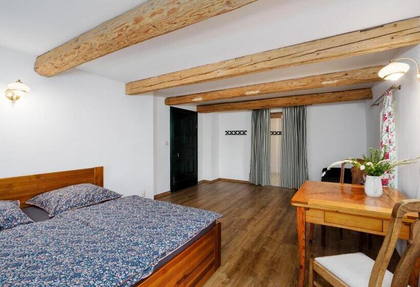 بنسيون Płonica 1