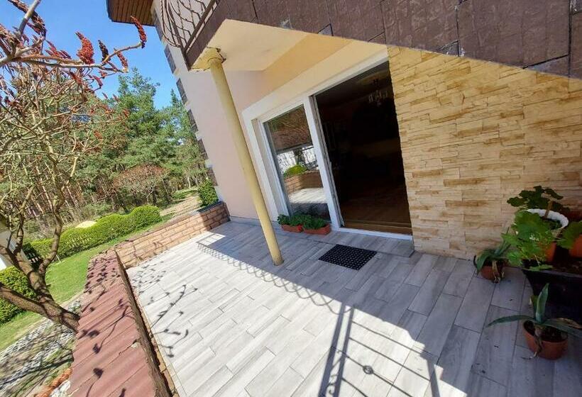 Pensjonat U żółtego Przełazy Lubuskie 1,d