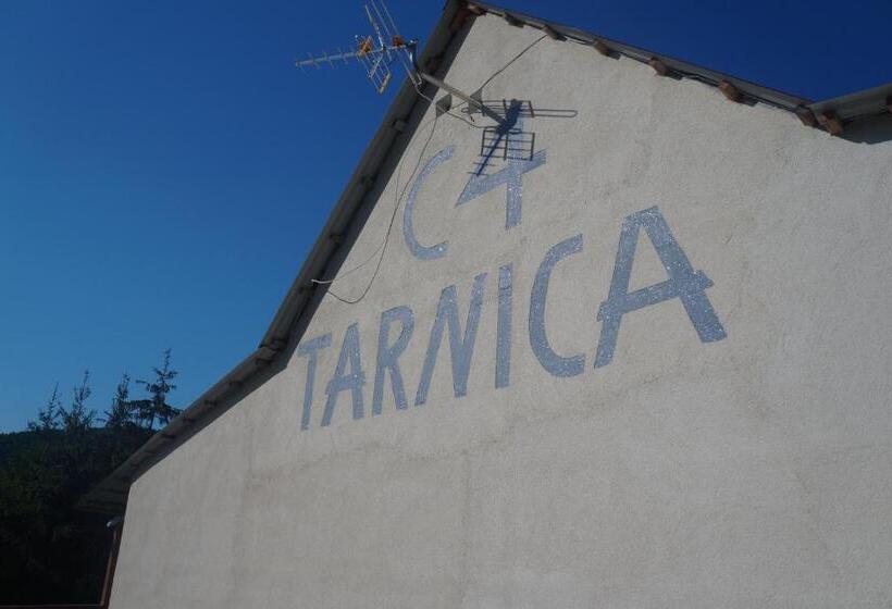 Tarnica