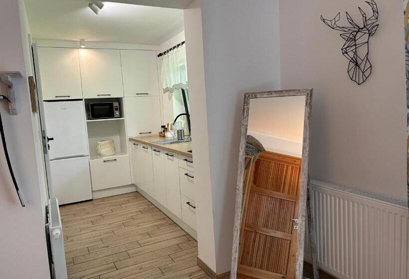 بنسيون Jeleni Ruczaj