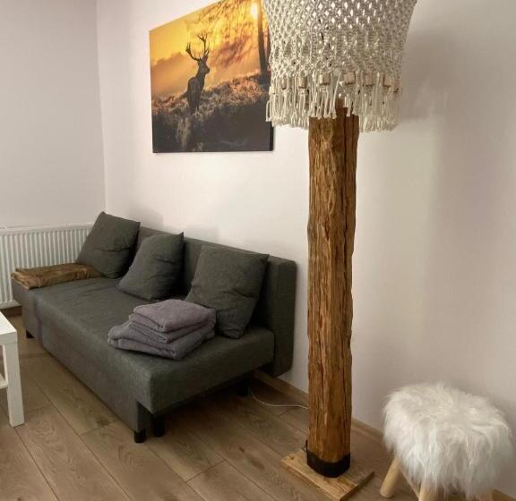 بنسيون Jeleni Ruczaj