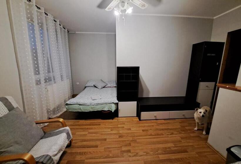 펜션 Noclegi Srebrna Góra