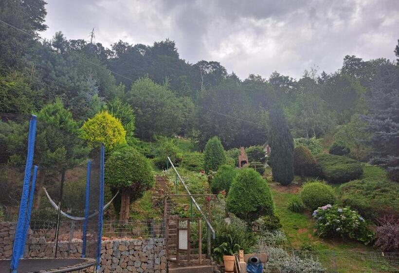 펜션 Noclegi Srebrna Góra