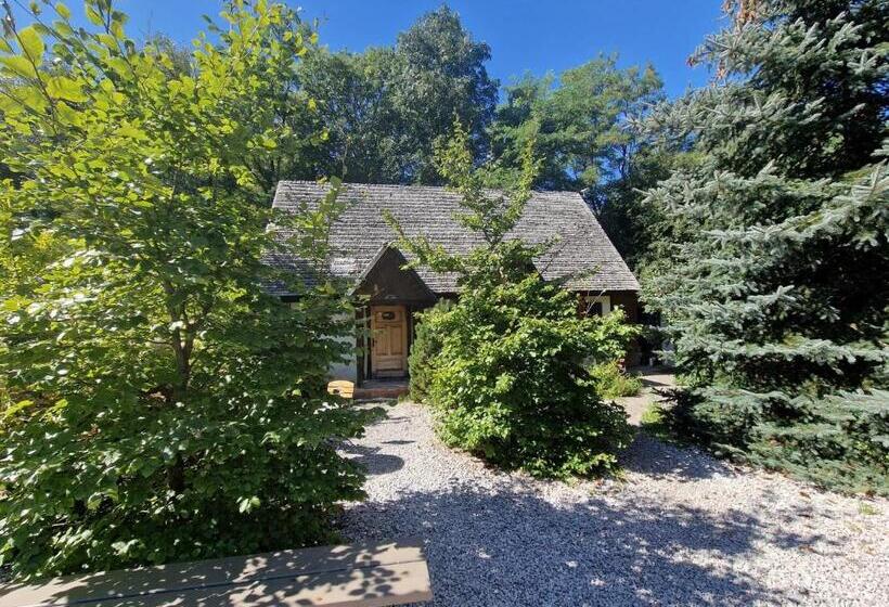 旅馆 Oberża Pod Złotym Prosiakiem