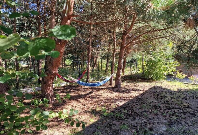 旅馆 Oberża Pod Złotym Prosiakiem