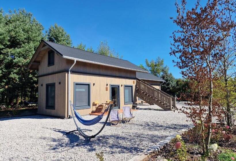 旅馆 Oberża Pod Złotym Prosiakiem