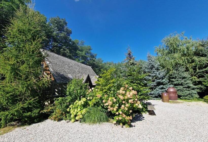 旅馆 Oberża Pod Złotym Prosiakiem