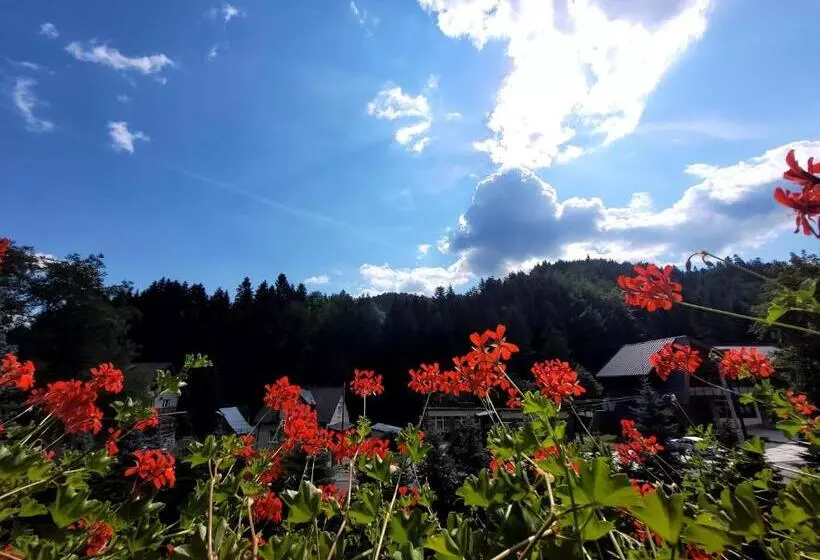 Aamiaismajoitus (B&B) Rezydencja Leśny Dwór