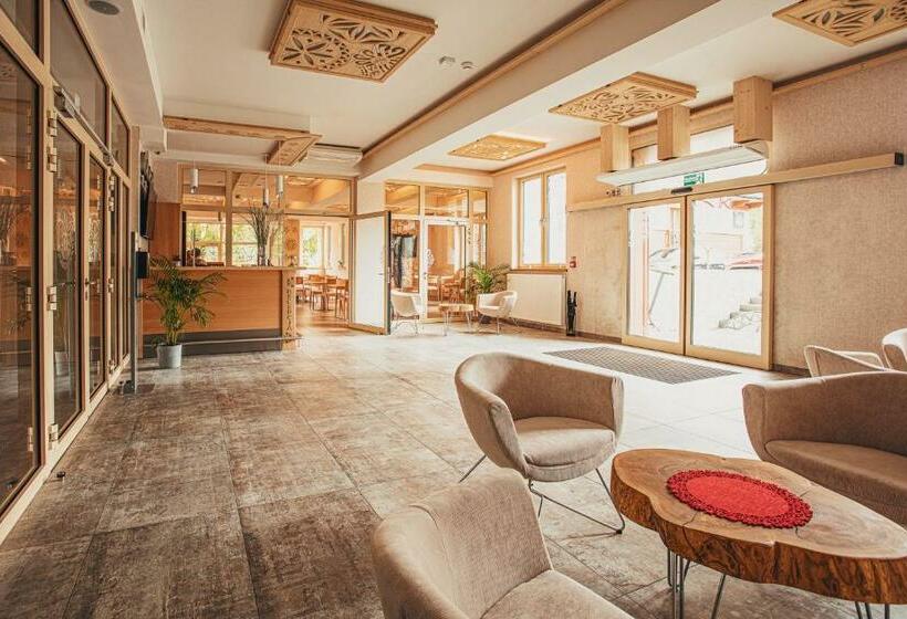 צימר Villa Cannes Resort Zakopane   Grota Solna, Sauna Fińska