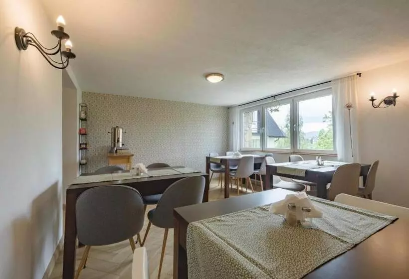 ベッドアンドブレックファースト Willa Owca Czarna