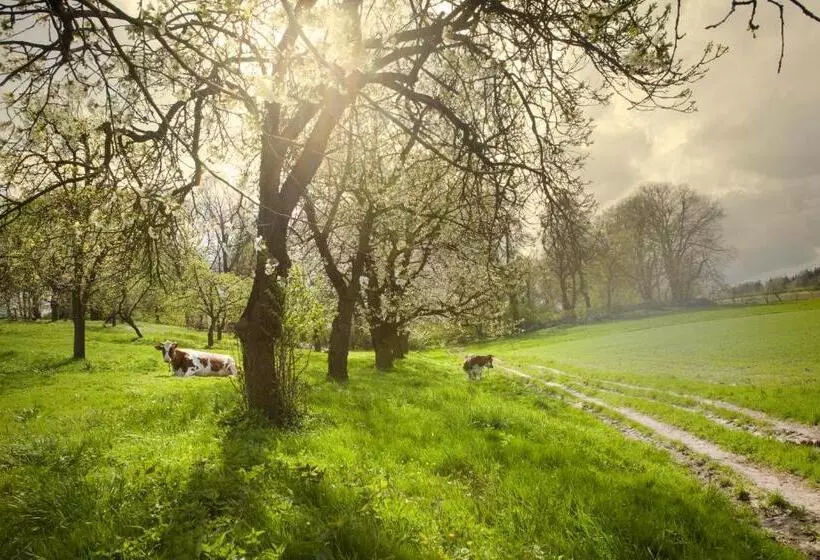 Majatalo Alba Góra św Anny Restauracja I Pokoje