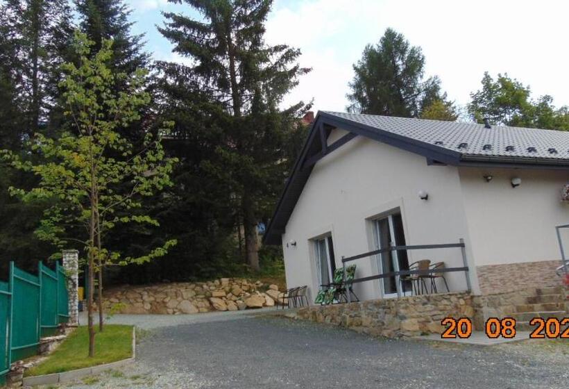 بنسيون Apartamenty Mozaika   Centrum Zdroju