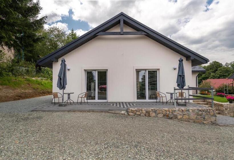 بنسيون Apartamenty Mozaika   Centrum Zdroju