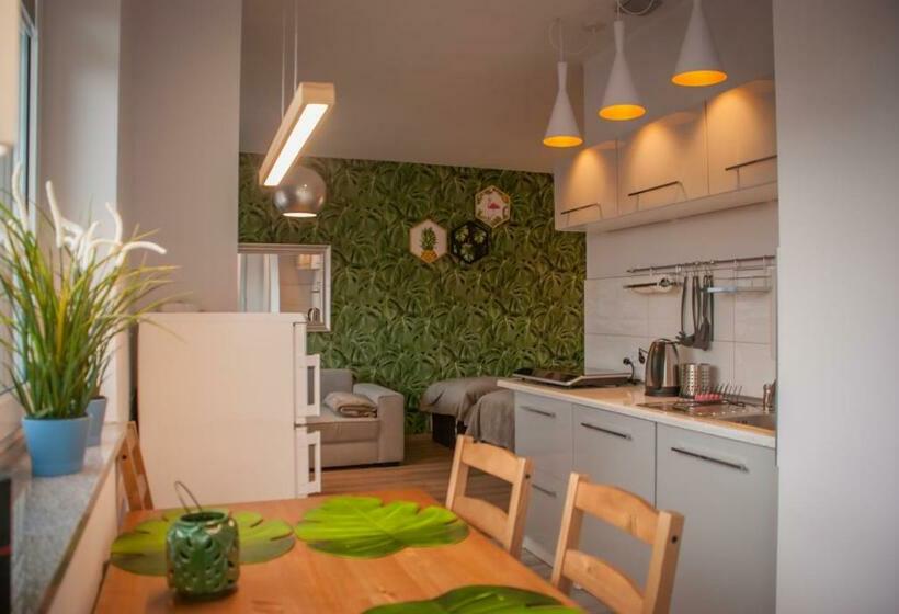 פנסיון Noclegi Boczna 5a Apartamenty Gościnne