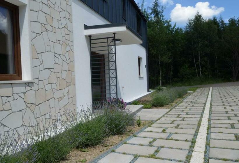 Пансион Willa Na Pstrążnicy