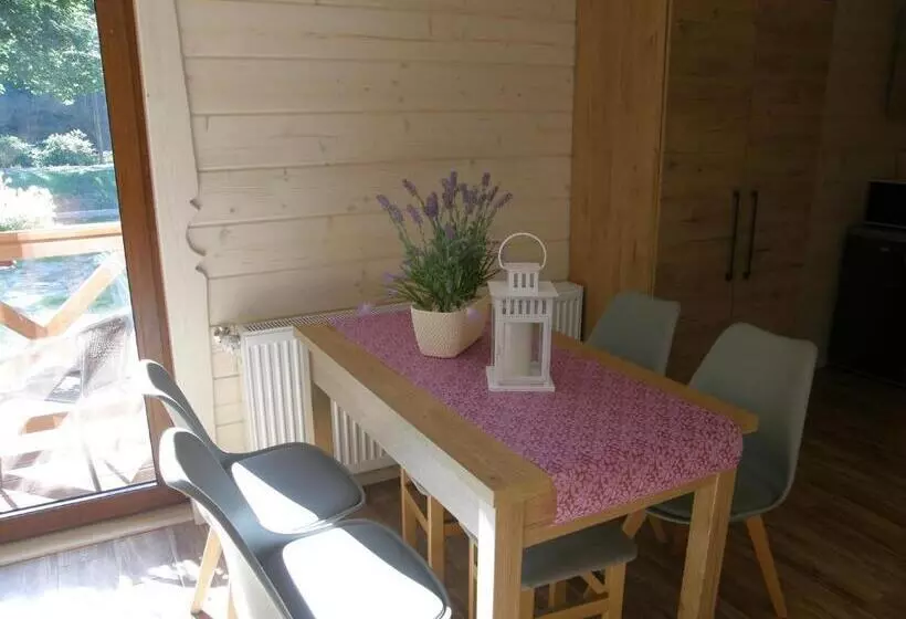 پانسیون Willa U Bartusia