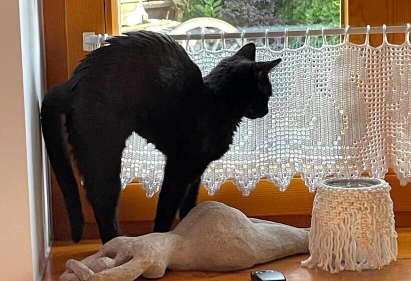 Bed and Breakfast Agroturystyka Hanka I Jurek