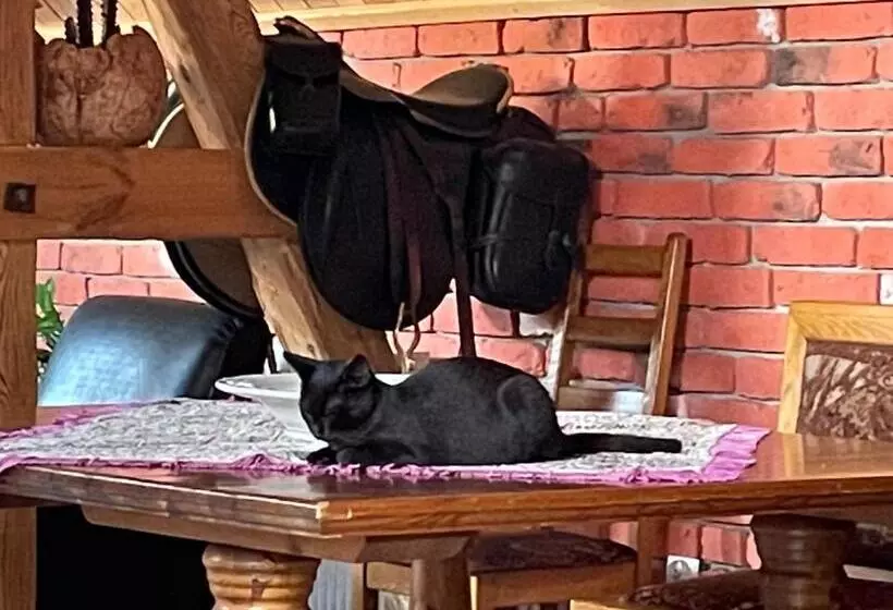 Aamiaismajoitus (B&B) Agroturystyka Hanka I Jurek