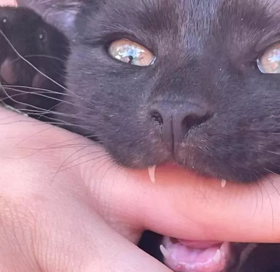 Aamiaismajoitus (B&B) Agroturystyka Hanka I Jurek