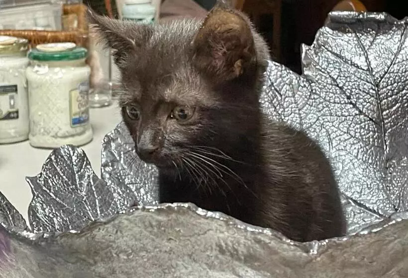 Aamiaismajoitus (B&B) Agroturystyka Hanka I Jurek