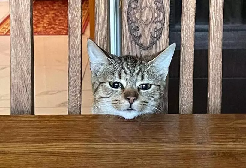 Aamiaismajoitus (B&B) Agroturystyka Hanka I Jurek