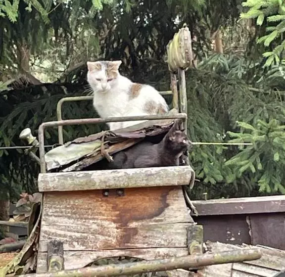 Aamiaismajoitus (B&B) Agroturystyka Hanka I Jurek