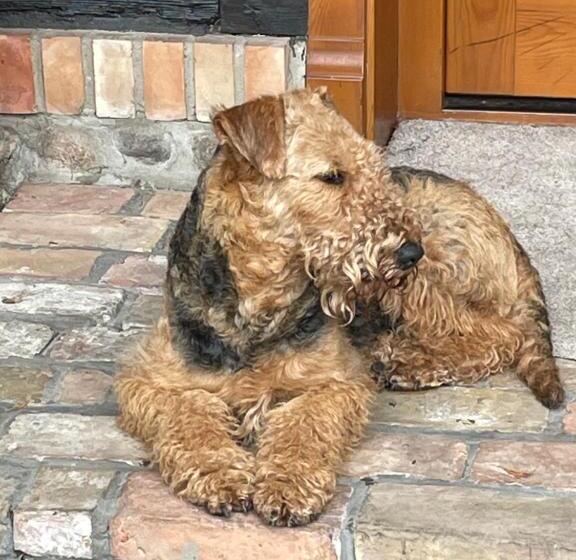 Bed and Breakfast Agroturystyka Hanka I Jurek