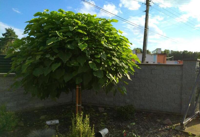 צימר Domki Całoroczne Panamera