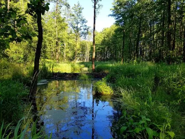 ベッドアンドブレックファースト Majątek Morgi