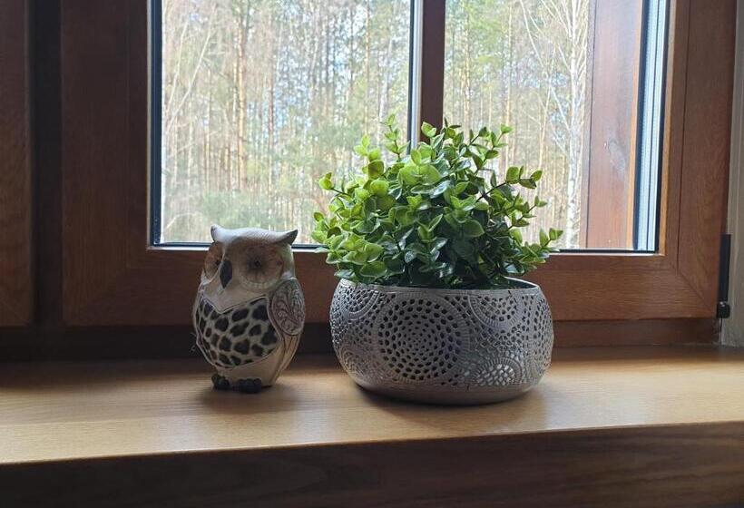 住宿加早餐 Majątek Morgi